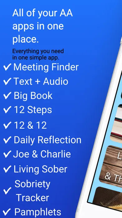 Everything AA app screenshot 1