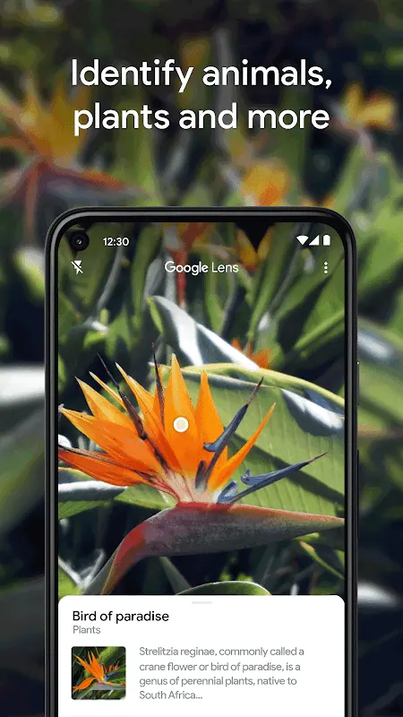 Google Lens app screenshot 4