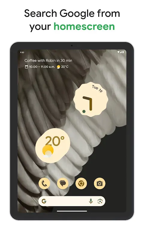 Google app screenshot 1