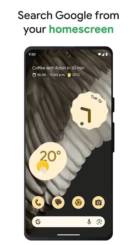 Google app screenshot 3