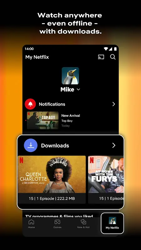 Netflix app screenshot 1