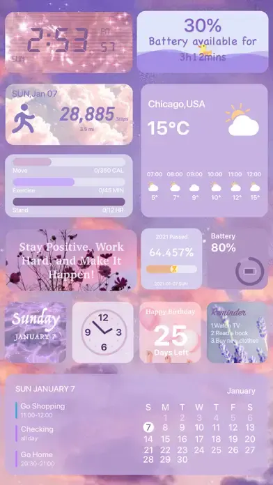 NewThing Widgets Pro app screenshot 2