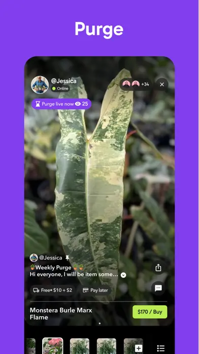 Palmstreet: Shop & Sell LIVE app screenshot 4