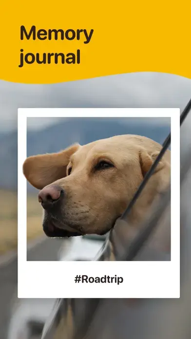 Paws Against the World Premium app screenshot 8