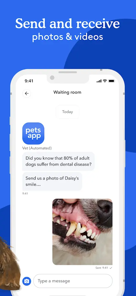 PetsApp app screenshot 4