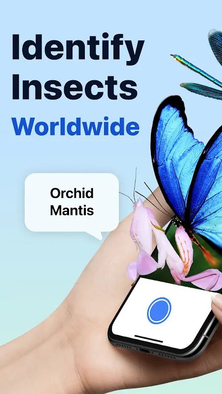 Picture Insect: Bug Identifier app screenshot 1