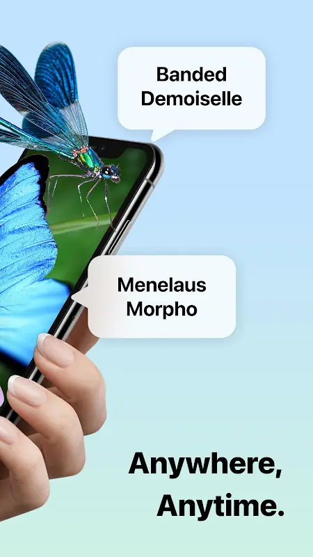 Picture Insect: Bug Identifier app screenshot 2