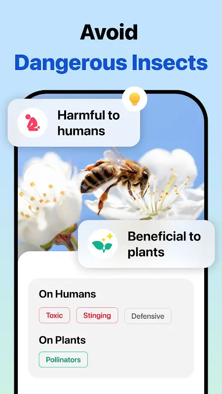Picture Insect: Bug Identifier app screenshot 3