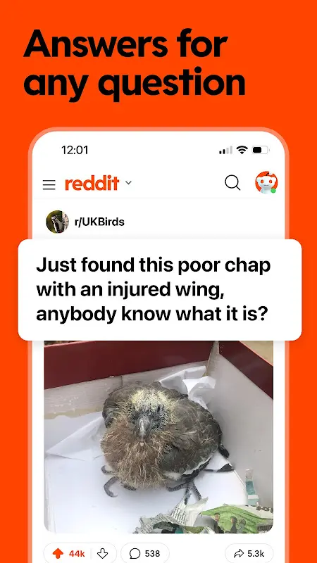 Reddit app screenshot 3
