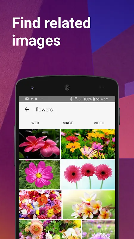 Yahoo Search app screenshot 2